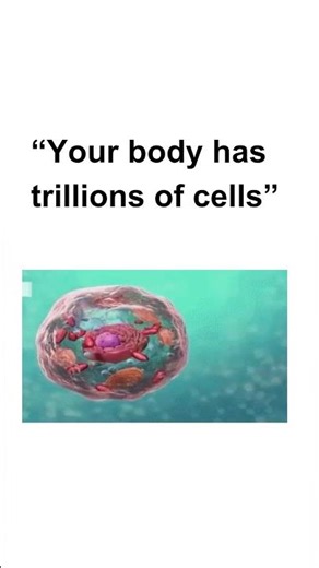 What is Biology? | Easy Introduction for Beginners