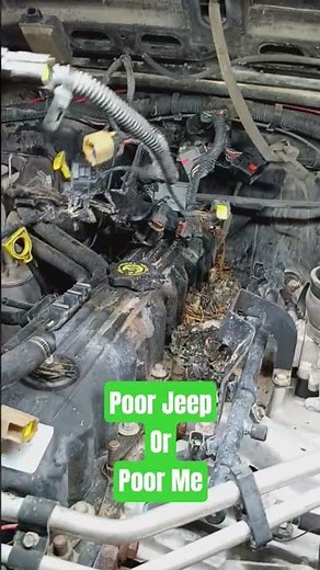 Wire Harness install #jeep #mechanic #worklife #offroad