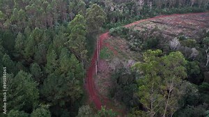 Aerial view of area devastated by illegal logging in tropical humid forest. Global warming. Misiones, Argentina.