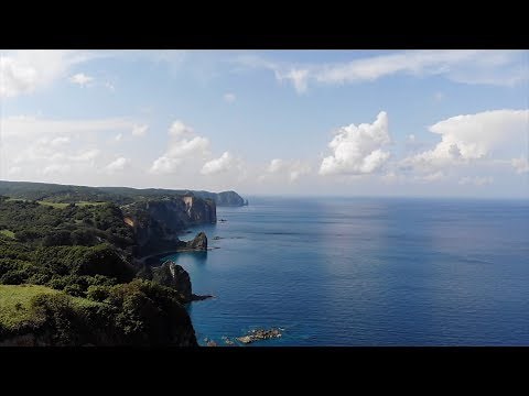 Google 広告 + Google マイビジネス活用事例（北海道：中小企業のみなさま）