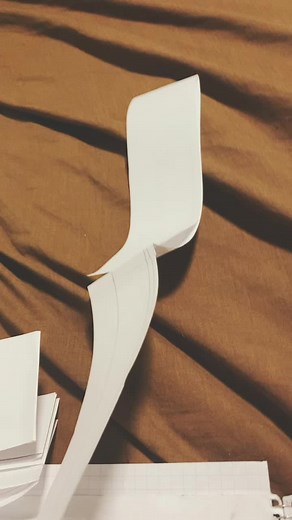 Donatello Pillow Pet Unboxing and Review