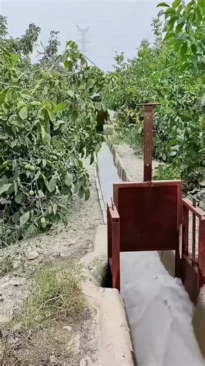 This simple method keeps fruit trees nourished and fields thriving season after season. | Casa Irrera Messina