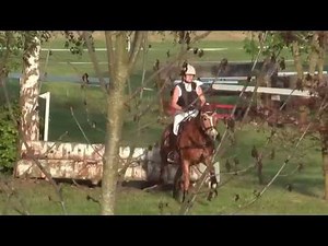 Die Haflinger springen in Gunzenhausen