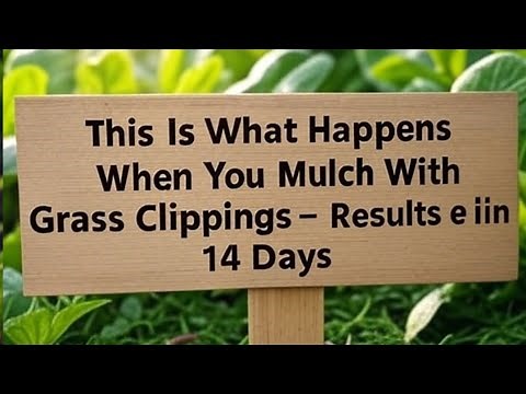 This Is What Happens When You Mulch With Grass Clippings – Results in 14 Days