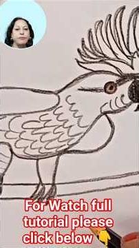 How To Draw A Cockatoo Bird Step by Step|#short # #drawingbird #drawing