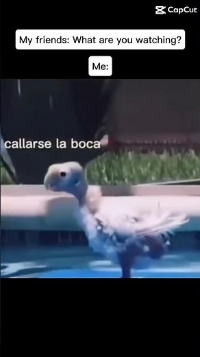 Flotation device 🛟 #viralvideo #floatation #device #bird ￼￼