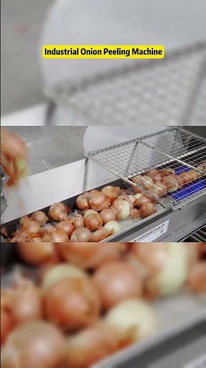 Automatic Commercial Use Onion Peeling Machine Root-Cutting Production Line