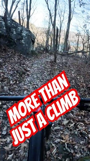 Earn The View! #nbx #mtb #mtbreview #extremesport #mountainbiking #outdooractivity #amtb