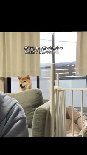 #ニュース #最新ニュース #国際ニュース #トレンド #防災 #テクノロジー #災害