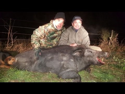 Caza de chancho a perro y cuchillo - Rio Salado - Chancha jabali