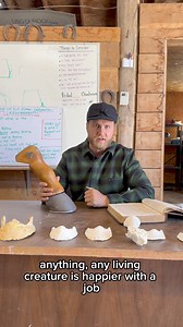 BAREFOOT VS SHOD Debate! | Idaho Horseshoeing School