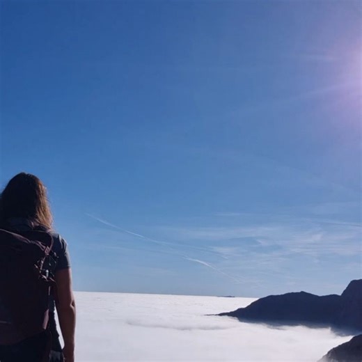 Combe Valley Campers on Reels