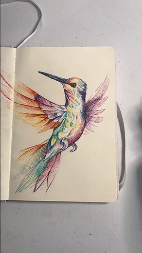 Dibujando un hermoso colibrí con estilografos de colores #art #ilustracion #arteparaprincipiantes