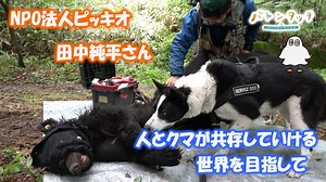 バトンタッチ SDGsはじめてます : 人とクマが共存していける世界を目指して日本に「ベアドッグ」を導入した NPO法人ピッキオ 田中純平さん