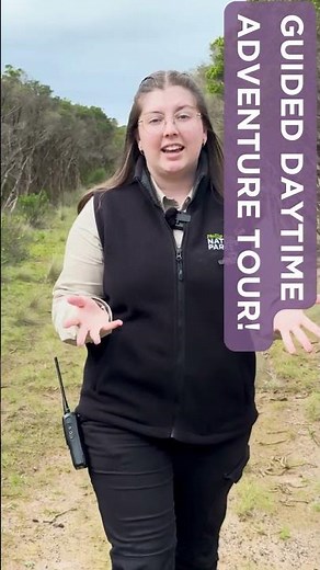 Guided Daytime Adventure Tour at the Penguin Parade