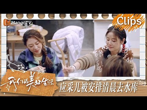 【精彩看点】袁咏仪说钟楚曦算是她的师妹 林心如应采儿表示年龄大了就开始关注身体指标 | 我们的美好生活 Our Wonderful Life | MangoTV