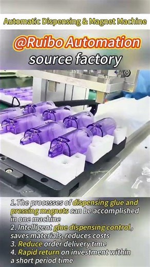Ruibo automatic dispensing & magnet machine