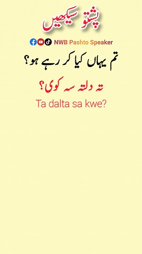 پشتو زبان سیکھنے کی آن لائن کلاس