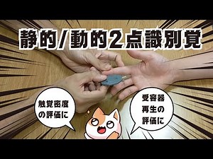 【触覚の分布密度】静的２点識別覚と動的２点識別覚の評価