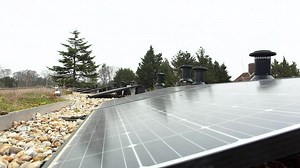 Inside Spurs' sustainable training ground