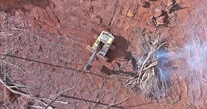 Uprooted tree removal using an excavator worker for house construction land is prepare land