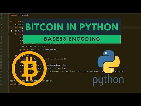 Base58 encoding in python (bitcoin)