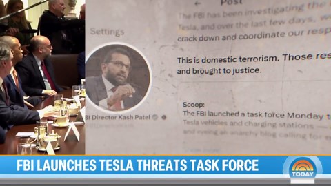 FBI launches task force to crack down on attacks targeting Teslas