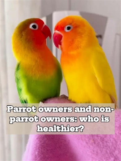 Comparing Health: Parrot Owners vs. Non-Parrot Owners