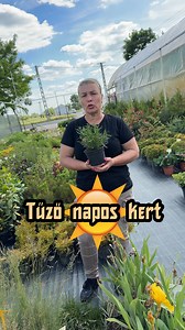 Fűszernövényt hova? 🌿 #bordány #virág #kert #növény #tavasz #garden #fa #nap #napos #plants #gardening #áruda #nyár #fűszer #fűszernövény | Virág- és Dísznövény Áruda Bordány