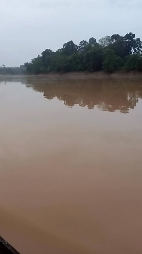 #sepil hsil | Maliki