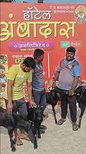 hotel अंबादास एकदा याल तर आमचेच व्हाल