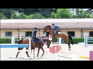 Stage d'obstacles avec Michel Robert