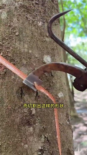 This is the process of resin production. #Fun