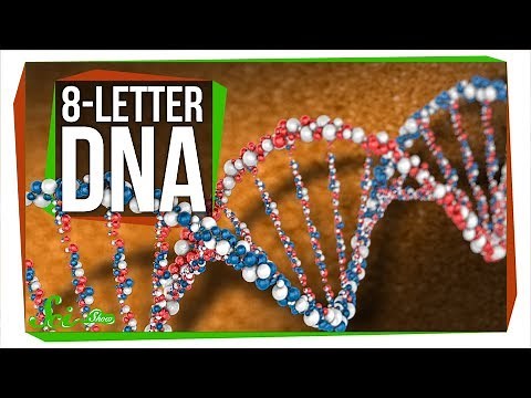 New 8-Letter DNA Rewrites the Genetic Code | SciShow News