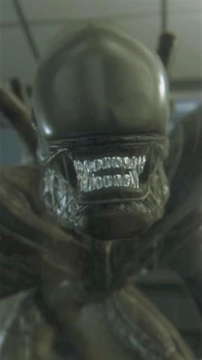 My Stress Level is 100!!