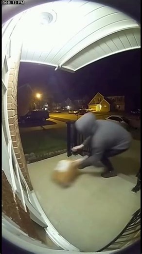 Package Stolen Minutes After Delivery! Doorbell Cam Captures Everything😨