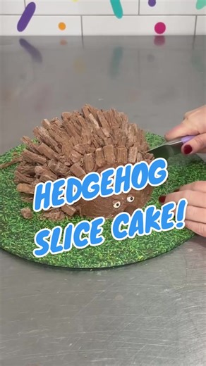 KATIE’S HEDGEHOG SLICE CAKE! 2 x packets Marie biscuits (or plain sweet biscuits) 1 x 395g tin condensed milk 2 x Tbs cocoa 4 x Tbs coconut 200g melted butter 200g Melted Milk Chocolate 2 packs fun size Flakes 2 edible eyes 1 malteser Press into lined bowl. Chill for min 2hrs. Release slice from bowl. Cover in melted chocolate, poke chopped up pieces of flake. Pop on malteser as nose and edible eyes. Enjoy! #tiggamac #okiedokie #cakedecorator #cakedecorating #cakevideo #cake #hedgehog #aussie #h
