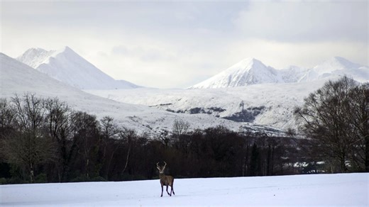 Weather warnings explained - Met Eireann status yellow, orange & red alerts