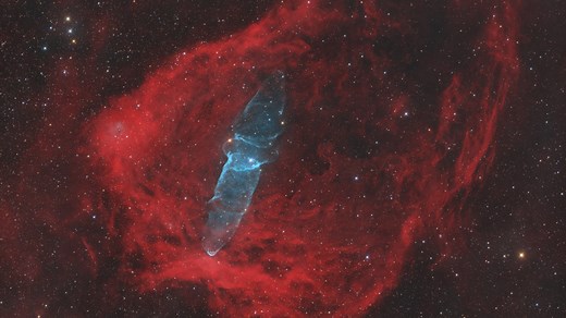 Daily Telescope: Meet the Flying Bat and Squid nebulae