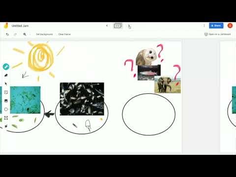 Small Critters Within Rivers