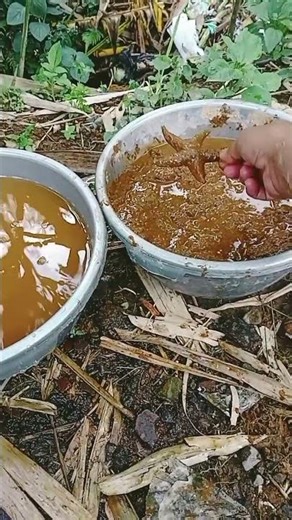 Aram Sam Sam Chiki tonz 🙏🤩🍓🍒😁 #cutebabyfunn #funny #youtubeshorts #fypシ