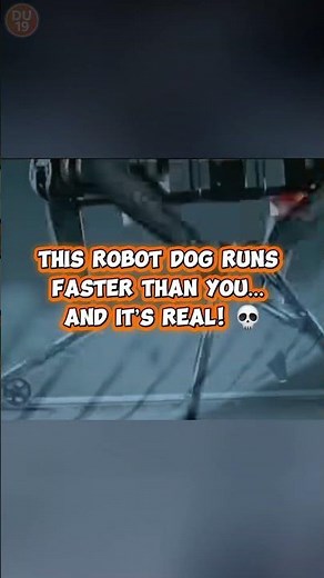 This Robot Dog Runs Faster Than You… And It’s Real!