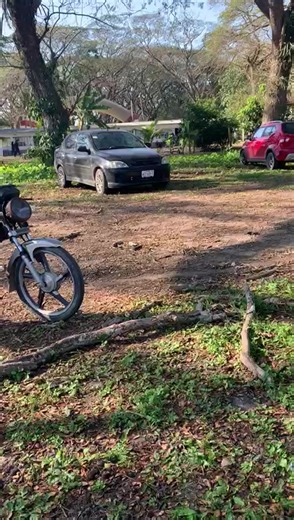 #paratiiiiiiiiiiiiiiiiiiiiiiiiiiiiiii #pyt team palmas😜👹@Ortega!