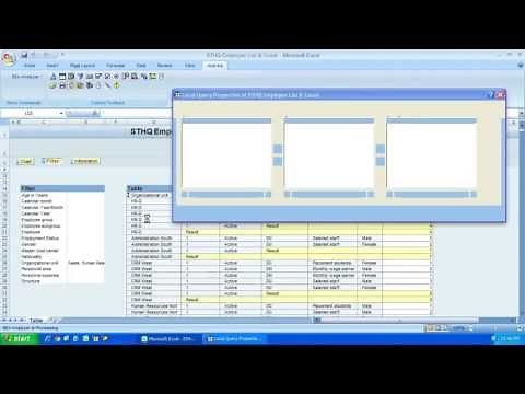SAP BW BEx Analyzer Data Analysis Functions - Part 3 - Characteristic and Query Properties