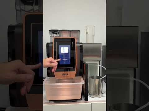 Gaggia G100 / La Brillante: Full Cleaning Process | Step-by-Step Technician Guide
