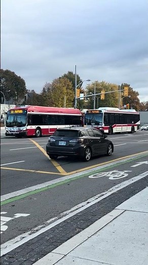 Toronto Transit Commission Bus Ontario Canada