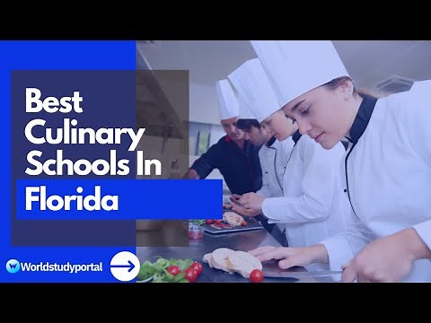 Culinary Schools In Florida (2021) - The Top 11 Schools you can Apply to.