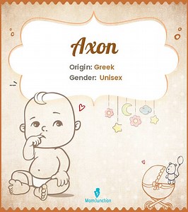 Axon Baby Name: Complete Guide To Meaning And Popularity Name Meaning, Origin, History, And Popularity