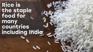 1.6K views · 12 reactions | Rice is the staple food of India. But poor farming processes mean that almost 50% of rice goes to waste. In a country where millions go hungry, this is a big problem. Our researchers are working with the Global Challenges Research Fund to make rice milling more efficient. The work could provide 7.7 million tonnes more rice in India and help tackle starvation. Learn more about this inspiring research: https://bit.ly/2VPdh1n | Sheffield Hallam University | Facebook