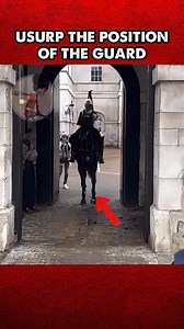 Tourists Try to Take Over the Royal Guard’s Spot...!!! #GuardiansOfTradition #MajesticMoments #HistoryInMotion #RoyalInspiration #CourageAndHonor #TimelessElegance #ParadeOfPride #HeritageAndHeart #InspiringLegacy #ChasingRoyalDreams #fblifestyle | King's Guard Parade